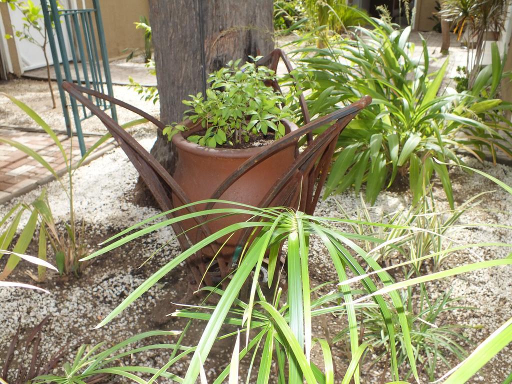 Uzuri Guesthouse Cc Windhoek Ngoại thất bức ảnh